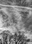 Stromy a oblaka 02